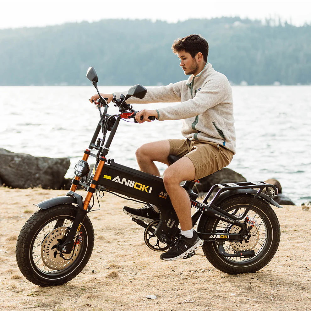 Aniioki Ebike