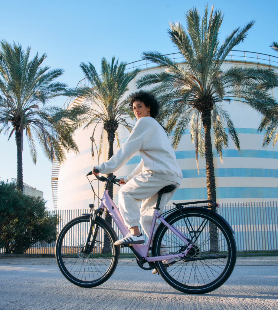 Tenway Ebike