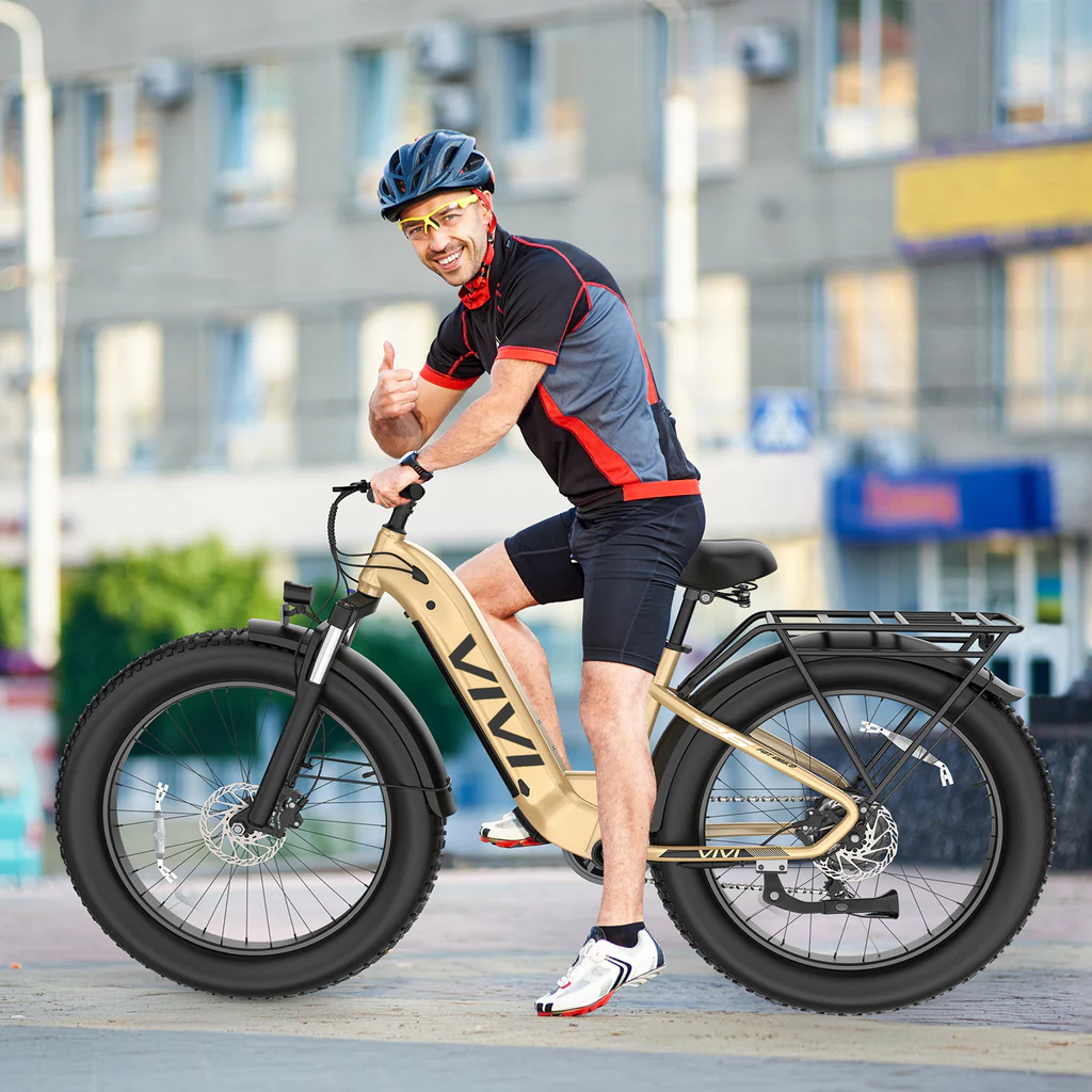 Vivi eBike
