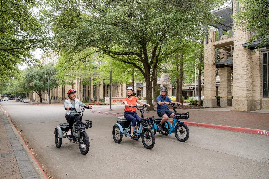 Mooncool Ebike