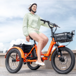 Mooncool Ebike